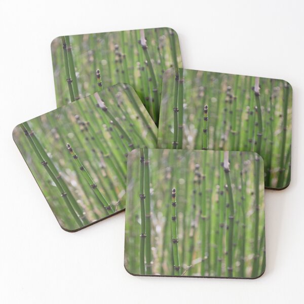 Item preview, Rough Horsetail designed and sold by lbmaddox.