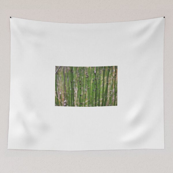 Item preview, Rough Horsetail designed and sold by lbmaddox.