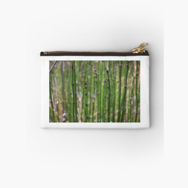 Item preview, Rough Horsetail designed and sold by lbmaddox.