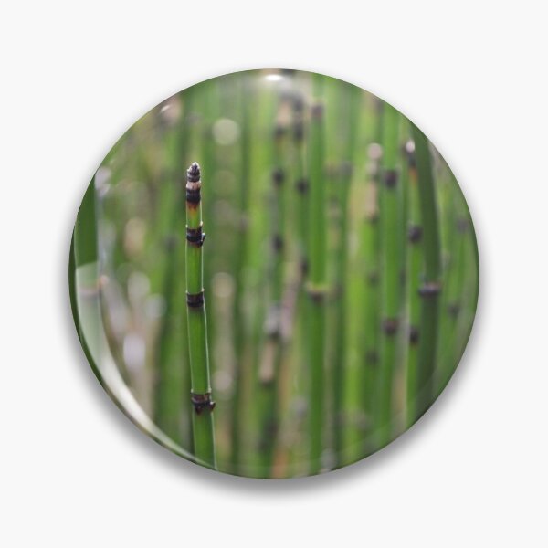 Item preview, Rough Horsetail designed and sold by lbmaddox.