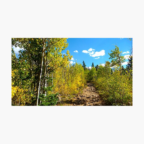 Hiking trail Photographic Print
