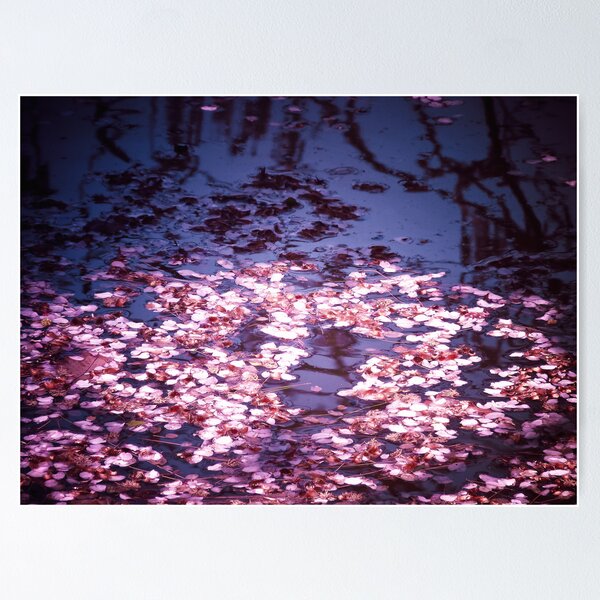 Item preview, Spring's Embers - Cherry Blossom Petals on the Surface of a Pond designed and sold by Vivienne Gucwa.