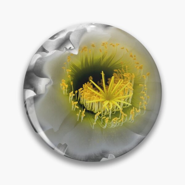 Artikelvorschau, Metallisierte Nachtkaktus-Blume entworfen und verkauft von Carole-Anne.