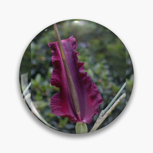 Artikelvorschau, Dragon Lily entworfen und verkauft von Carole-Anne.