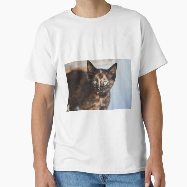 cat kitten tortie Classic T-Shirt