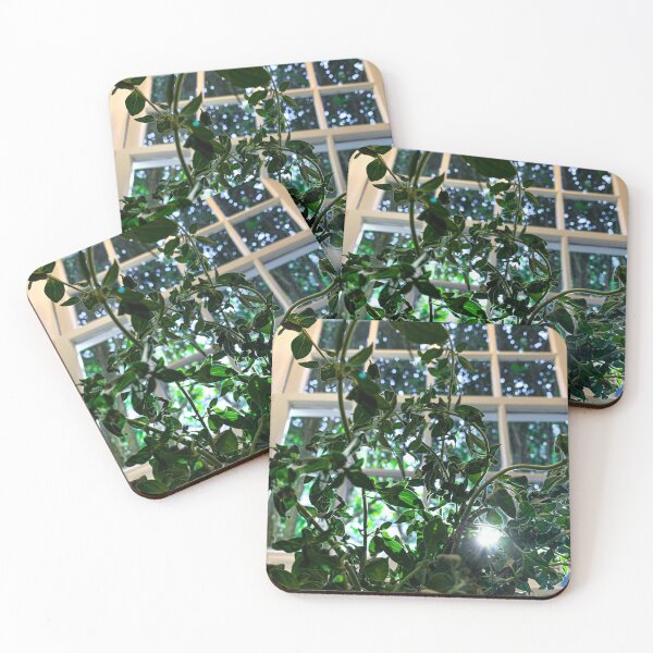 Item preview, Oreganific designed and sold by Alexandra O'Sullivan.