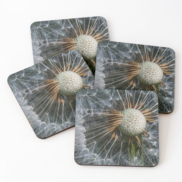Item preview, Dandelion Clock designed and sold by Adrian Rowley.