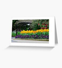 Untitled Greeting Card