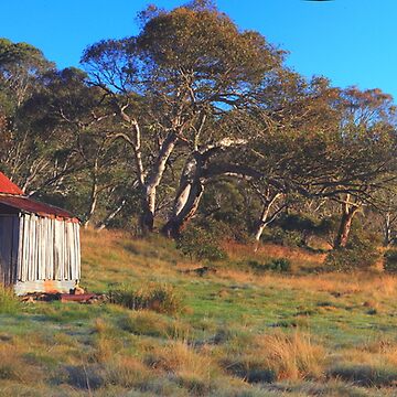 Artwork thumbnail, Four Mile Hut. Kiandra. by Donovan Wilson