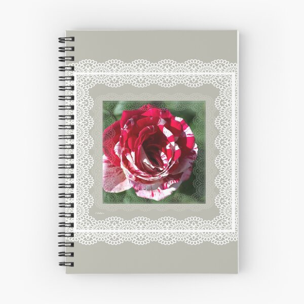 Item preview, Country Rose Variegated designed and sold by Joy Watson - Natural Light Photography .