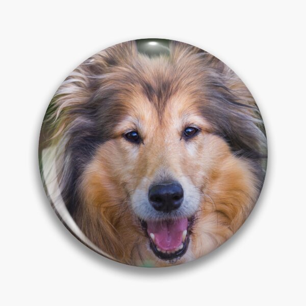 Item preview, Collie Surprise designed and sold by KarenWoodArt.