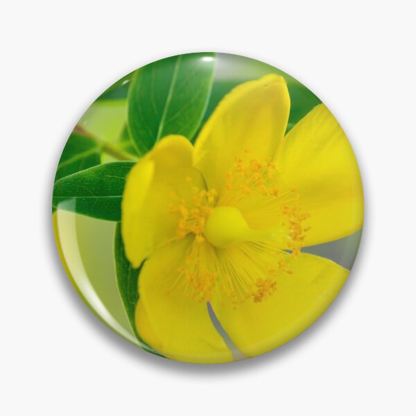 Item preview, Yellow St Johns Wort Flower designed and sold by KarenWoodArt.