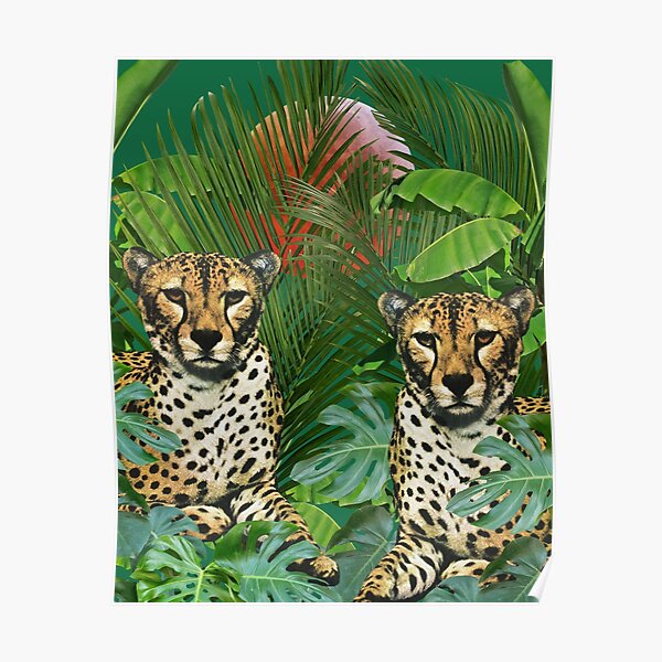 Jungle Cats Poster