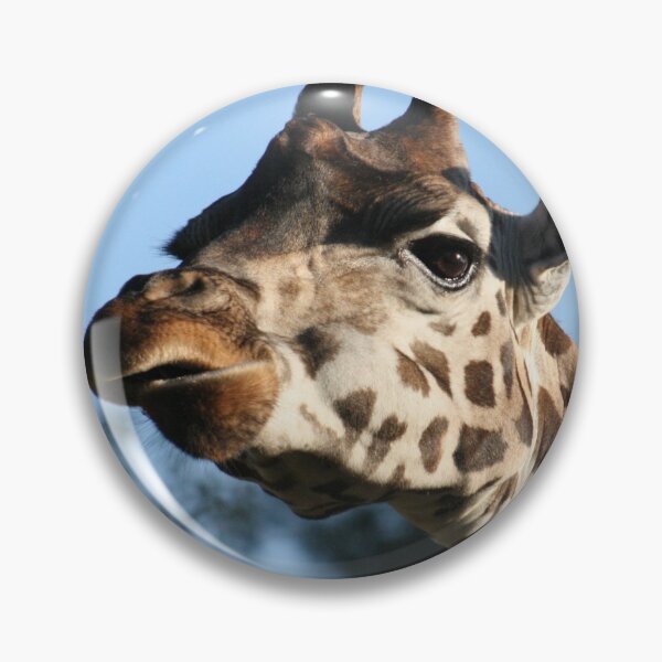 Item preview, Shapes designed and sold by Joy Watson - Natural Light Photography .