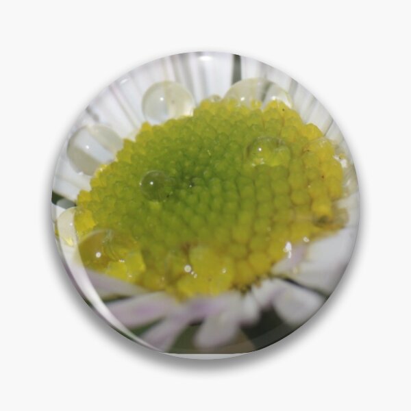 Item preview, Paper daisy. designed and sold by Mickpew.