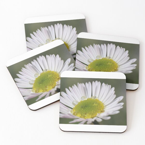 Item preview, Paper daisy. designed and sold by Mickpew.