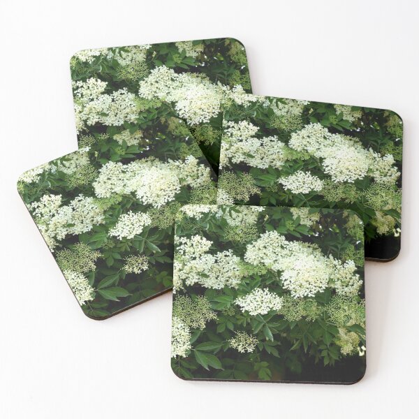 Item preview, Sambucus in bloom designed and sold by annalisa56.