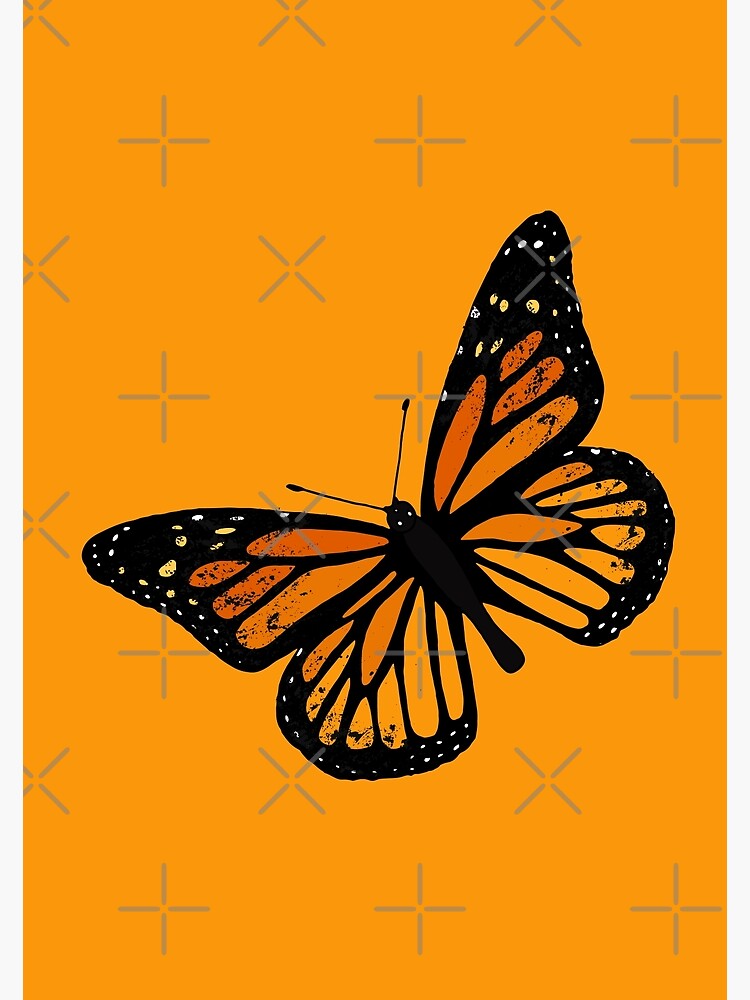 Butterfly Art Poster - Abstract Art Prints - Winter Museo