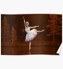 Ballet Poster