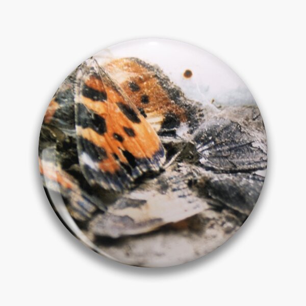 Item preview, Aglais Urticae  designed and sold by Imago-Mortis.