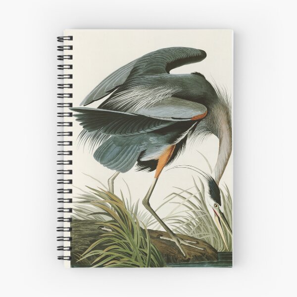 Item preview, Great blue Heron - John James Audubon's Birds of America Print Art Print designed and sold by Vintage Wall Art.