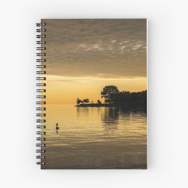 Item preview, One Seagull - Lake Ontario Sunrise in Lustrous Gold designed and sold by Georgia Mizuleva.
