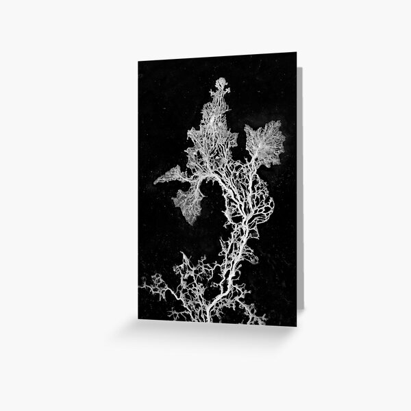 Max the Myxo is drama! Greeting Card
