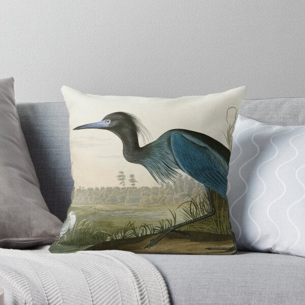 Artikel-Vorschau von Little Blue Heron - John James Audubons Birds of America drucken Kunstdruck, designt und verkauft von Vintage Wall Art.