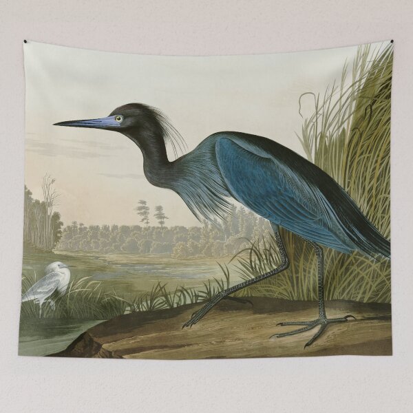 Item preview, Little Blue Heron - John James Audubon's Birds of America Print Art Print designed and sold by Vintage Wall Art.