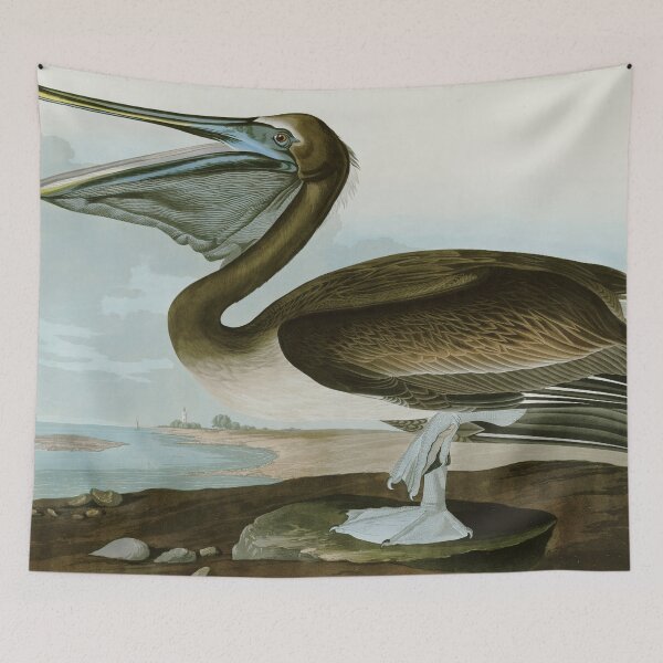 Item preview, Brown Pelican - John James Audubon's Birds of America Print Art Print designed and sold by Vintage Wall Art.