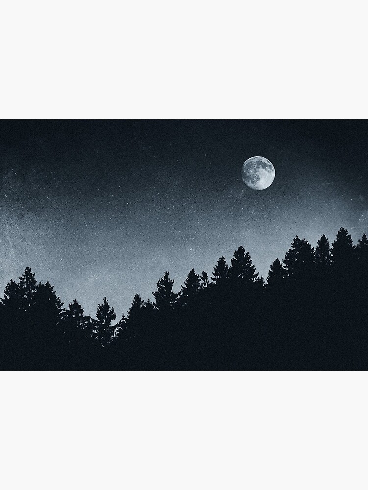 Under Moonlight by tekay