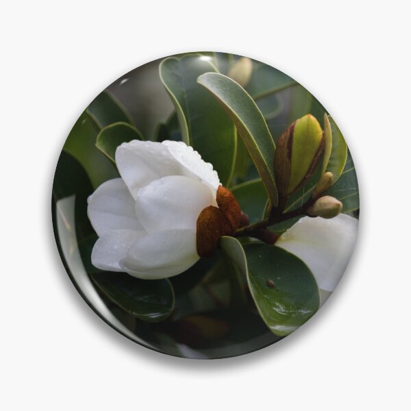 Item preview, Michelia designed and sold by KarenWoodArt.