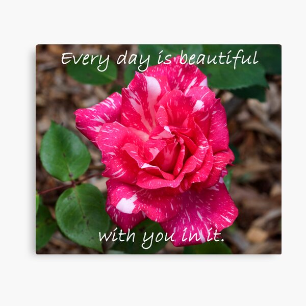 Every day is beautiful Canvas Print