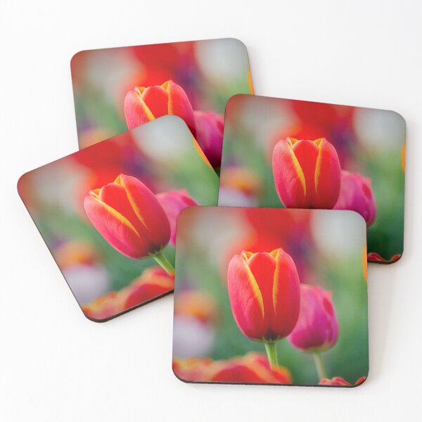 Item preview, A beautiful single fiery red tulip designed and sold by DesignBoard Photography.