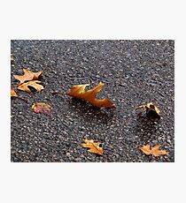 Dancing Leaves Photographic Print