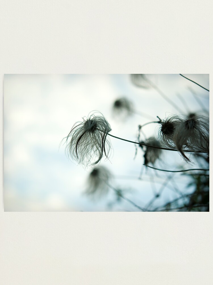 Alternate view of Day 269 - 4th April 2012 Photographic Print
