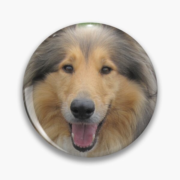 Item preview, Smiling Collie designed and sold by KarenWoodArt.