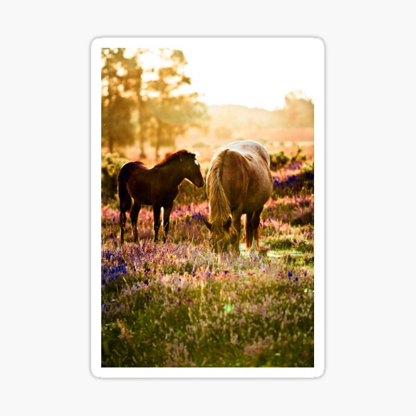 Item preview, Horse and foal in the New Forest designed and sold by OwlOccasions.