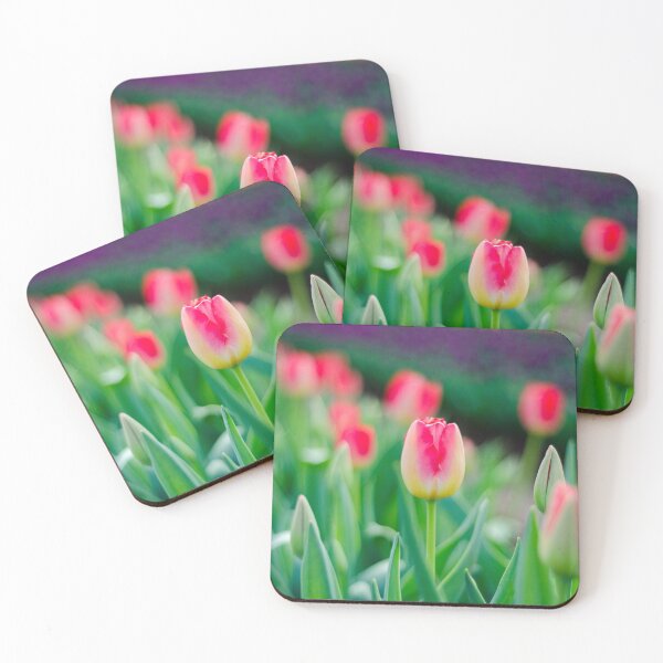 Item preview, Beautiful red and white tulips with bright green leaves designed and sold by DesignBoard Photography.
