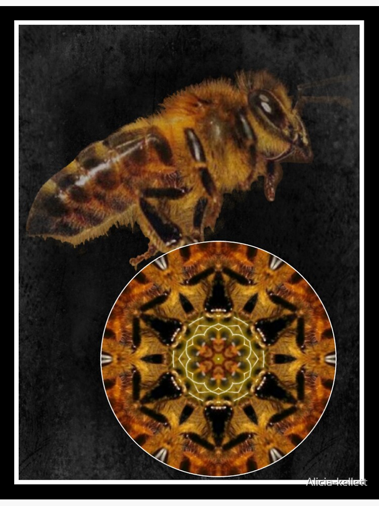 bee mandala by Alicia-kellett