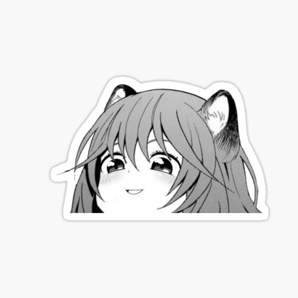 Raccoon Loli Stickers Redbubble