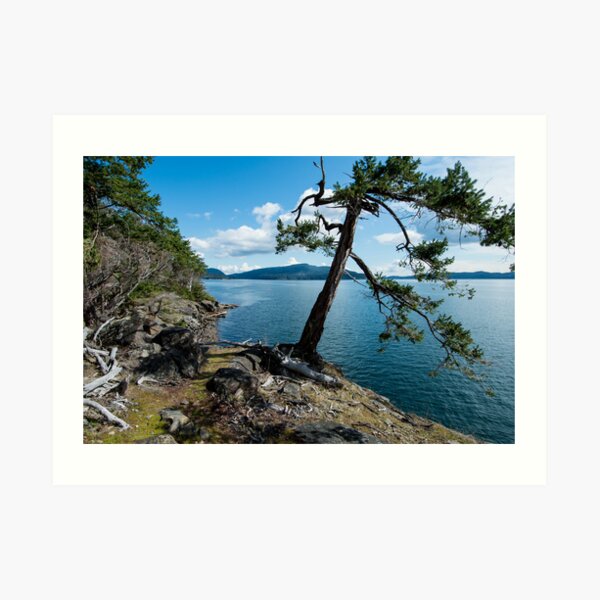 St. john Point Hill Art Print