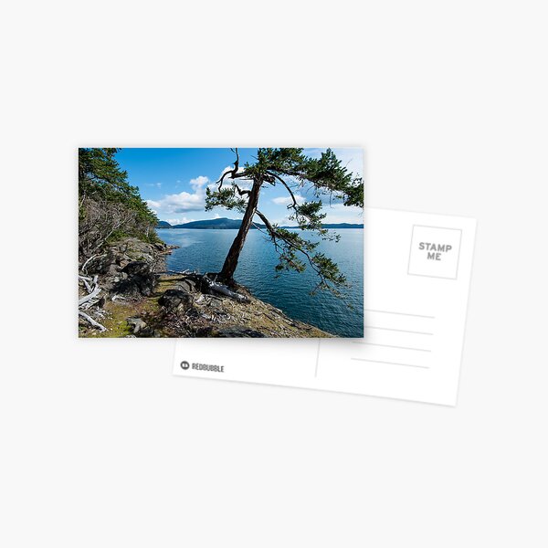 St. john Point Hill Postcard