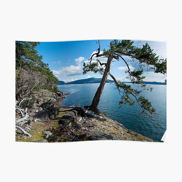 St. john Point Hill Poster