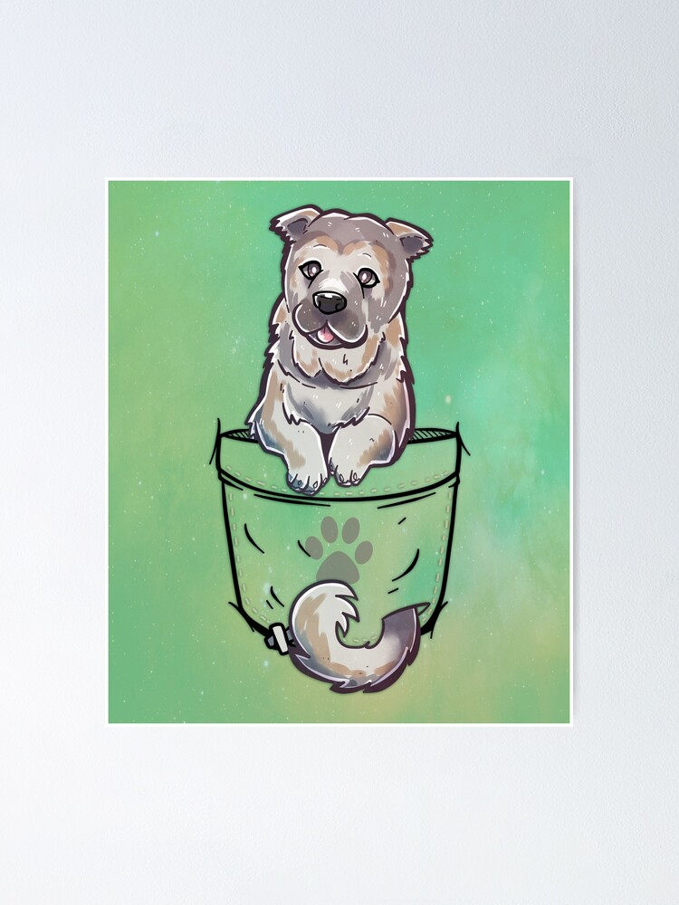 Pocket Cute Sarabi Mastiff Dog