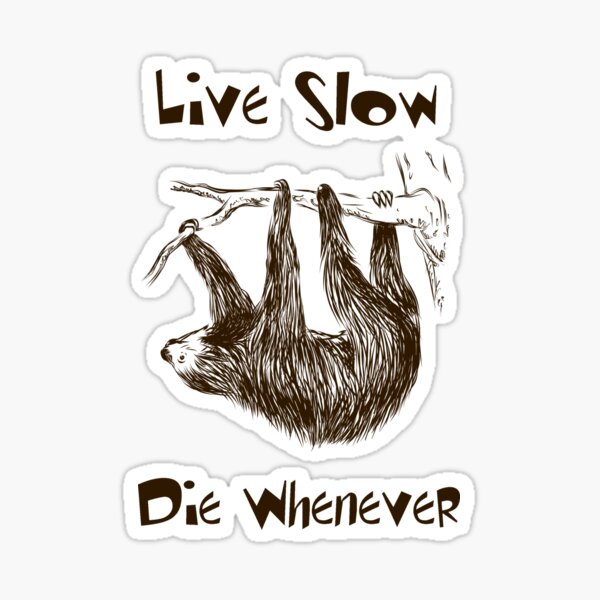 Sloth am I slow Sticker for Sale by ironydesigns