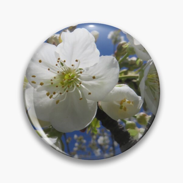 Artikelvorschau, Trauben mit Kirschblüten entworfen und verkauft von AHELENE.