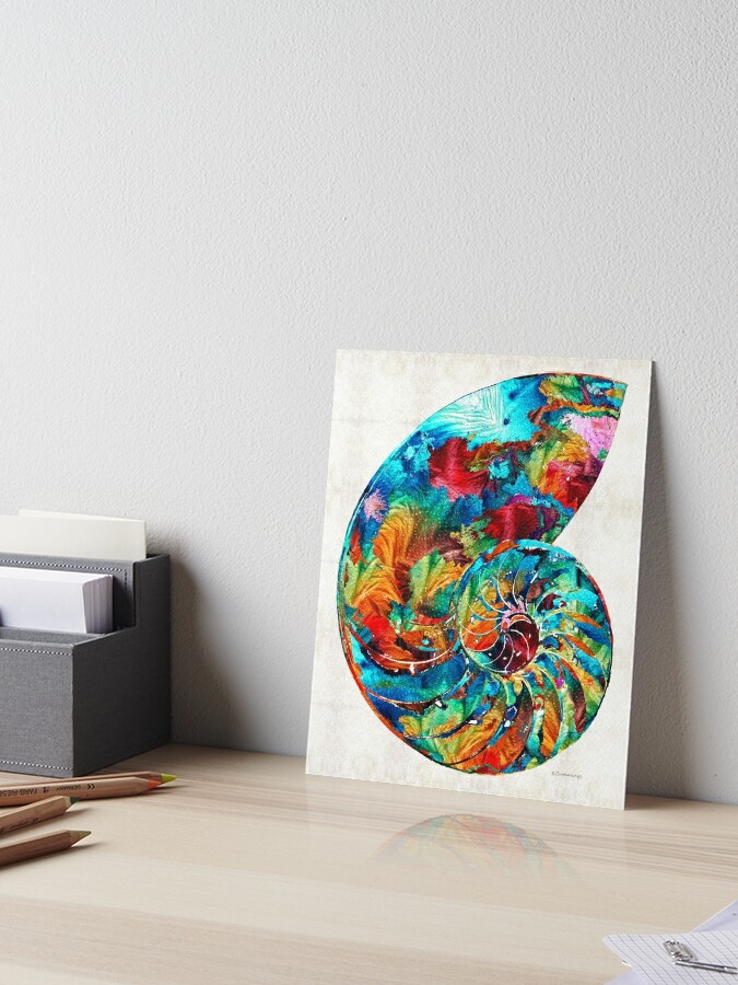 Colorful Nautilus Shell By Sharon Cummings Art Board Print By Sharoncummings Redbubble