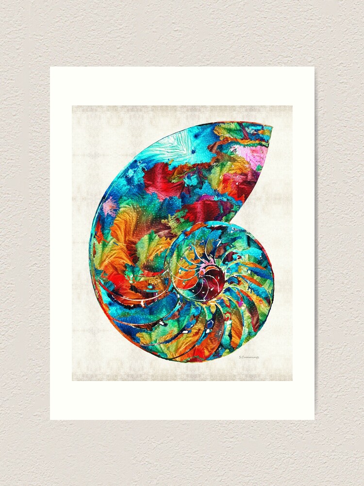 Colorful Nautilus Shell By Sharon Cummings Art Print By Sharoncummings Redbubble