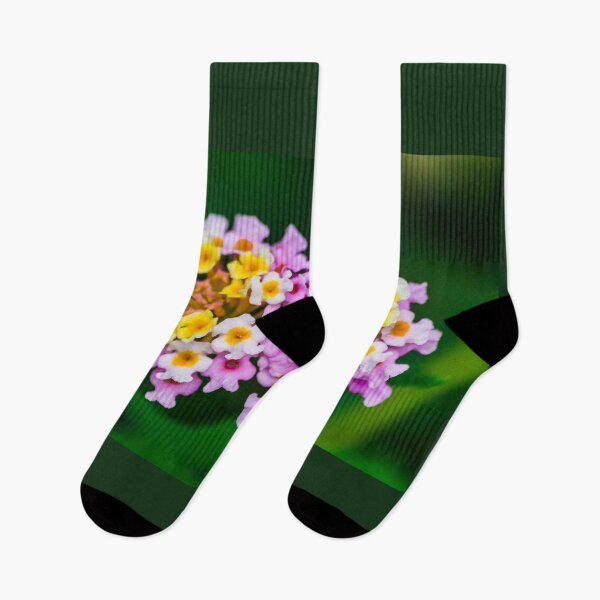Item preview, Lantana camara flower designed and sold by Martin Leber.